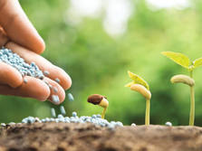Fertilizer Industry graphic