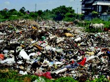 Solid Waste Management